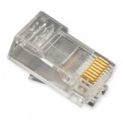 ICMP8P8SRD 8Pin RJ45 Plug Solid -100