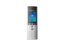 Grandstream Enterprise Portable WiFI Phone WP820